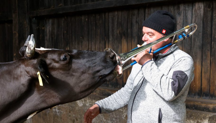 Die "Tierflüsterer"